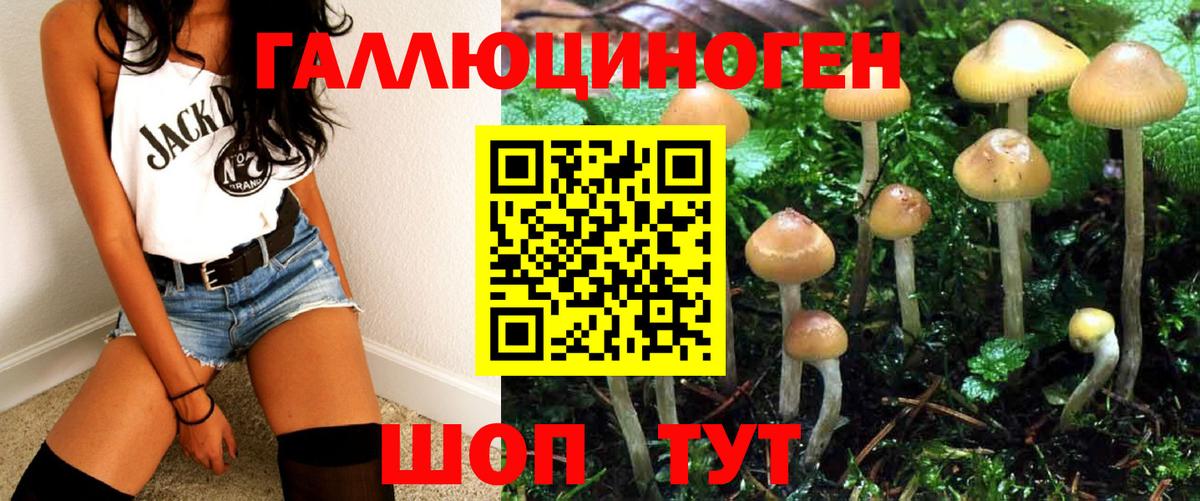 Галлюциногенные грибы Magic Shrooms Батайск