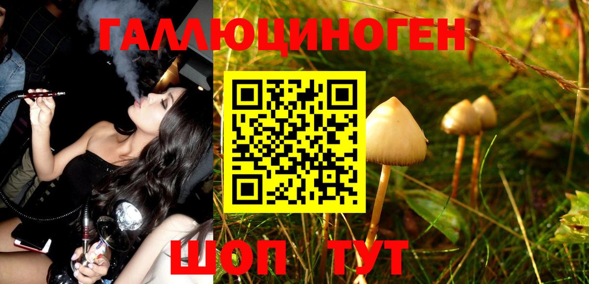 Галлюциногенные грибы Magic Shrooms  Галлюциногенные грибы ЛСД  Батайск  Вход с VPN 